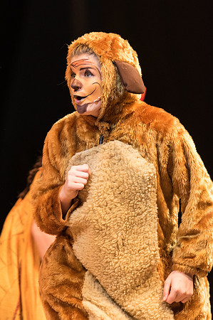 Lion King Saturday (110 of 201).jpg