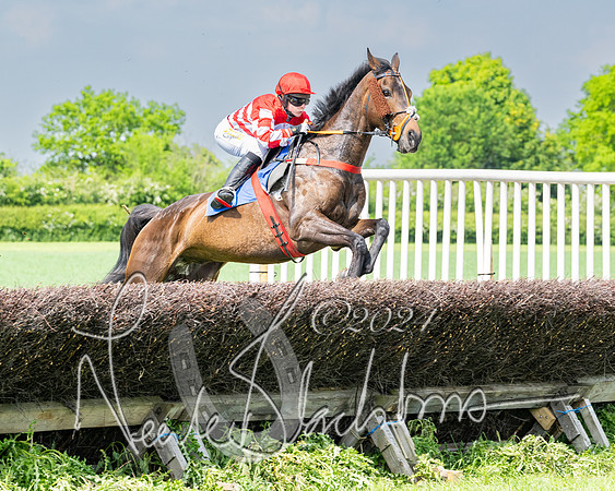 Race 2 - Restricted  (175 of 308)
