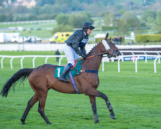 Race 7 - Glos Hussars  (54 of 245)