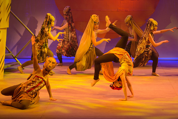 Lion King (124 of 484).jpg