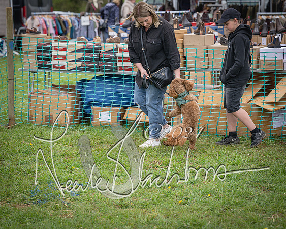 Bicester - Dog Show (79 of 106)