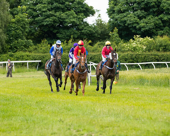 Race 5 - Restricted  (38 of 136)