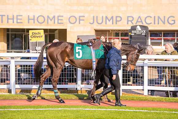 Race 5 - ITM Mares'  (3 of 181)