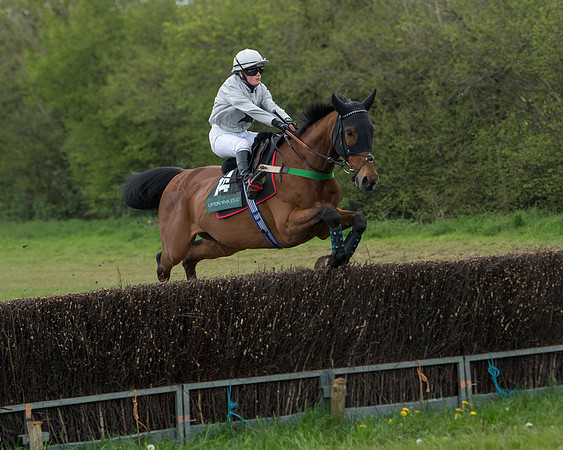Race 2 - Jockey Club ROR veteran Horse (35 of 104)