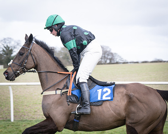 Race 2 - PPORA Conditions (81 of 263)