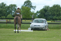 Jackson Dressage 15