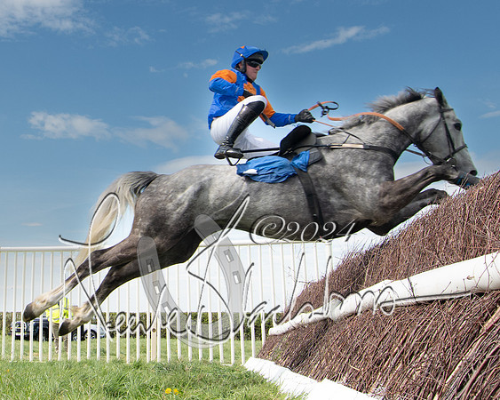 Race 2 - The Elliott of London maiden race (118 of 137)