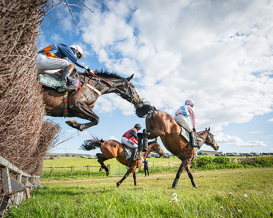 Race 7 - Walnut Hill PPORA club members maiden (18 of 104)