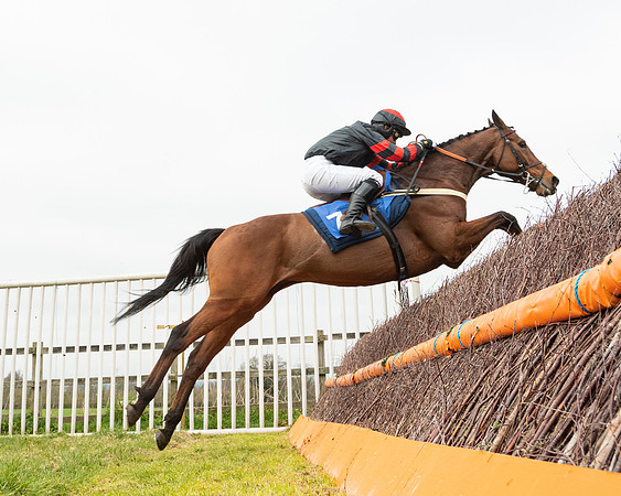 Race 2 - Veteran Horse (105 of 153)