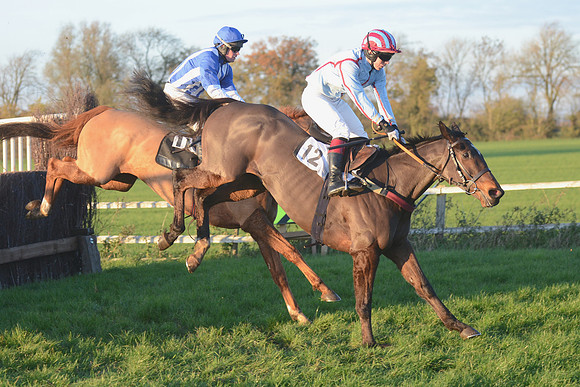 Young Horse Maiden  40
