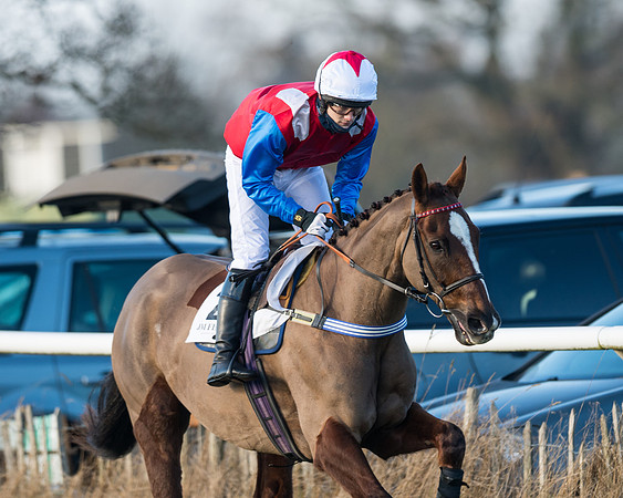 Race 2 - PPORA Novice Riders  (25 of 205)