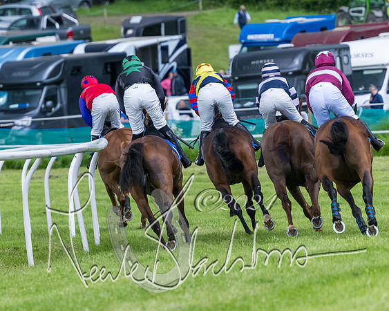 Race 3 - Conditions (190 of 367)