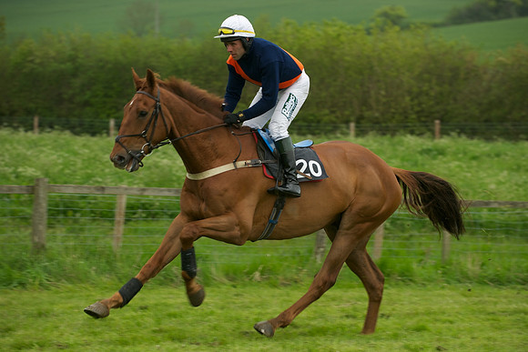 Race 6 - Maiden 15