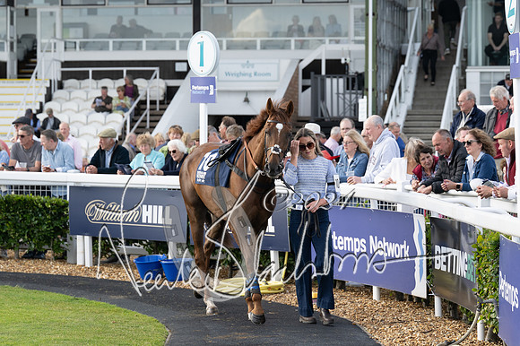 Race 3 - The pointtopoint.co.uk champion novices’ Hunter Chase (34 of 140)