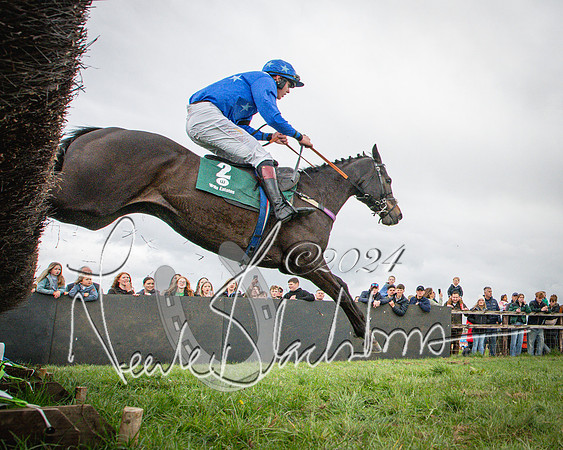 Race 2 - Tattersalls Cheltenham 4 year old Maiden (66 of 85)