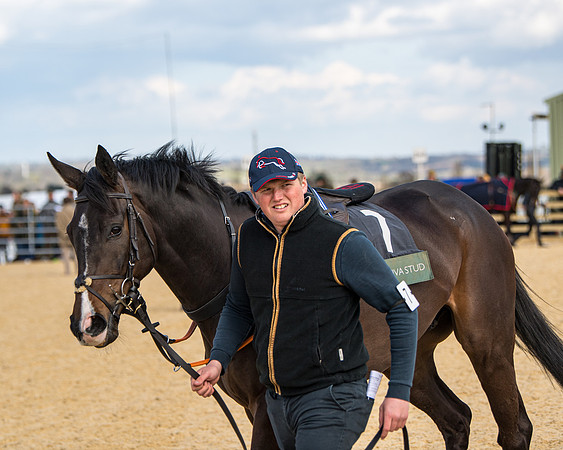 Race 2 - Young Horse Maiden (6 of 104)
