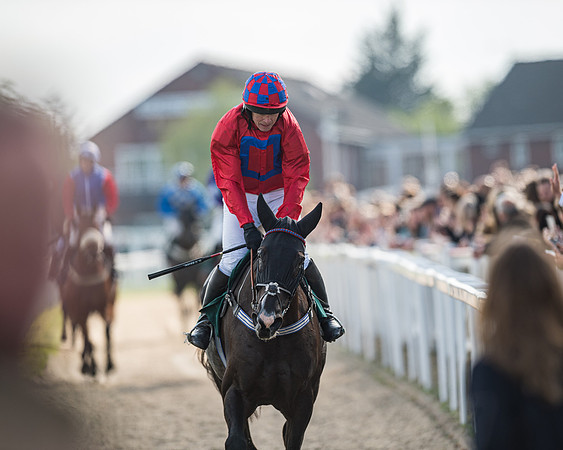 Race 1 - The open Hunter chase  (75 of 95)