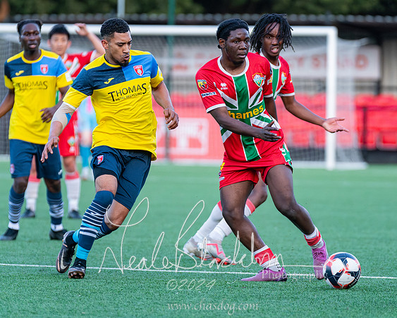 Windsor v Langley (51 of 235)