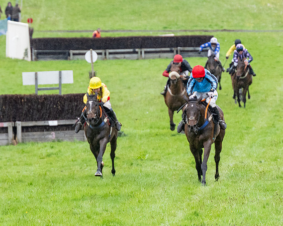 Race 8 - Bumper Div 2 (43 of 84)