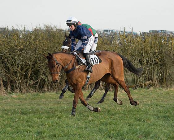 Race 6 - Open Maiden Race (10 of 99).jpg