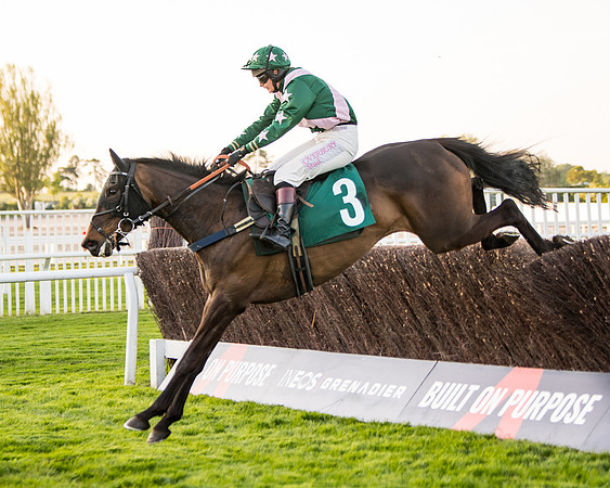 Race 5 - ITM Mares'  (67 of 181)