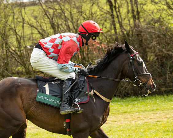 Race 3 - Owner Trainer conditions (37 of 132)