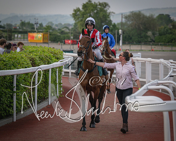 Race 5 - Mares Open Hunter Steeplechase 3m2f 70y (47 of 269)