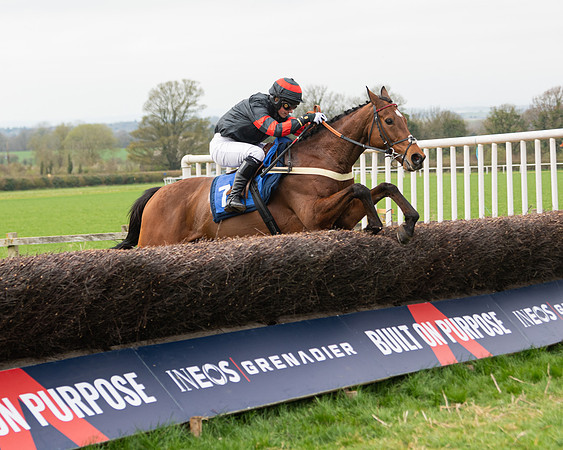Race 2 - Veteran Horse (107 of 153)