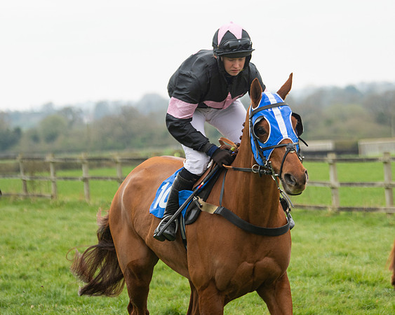 Race 3 - Open maiden  (26 of 273)