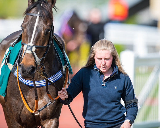 Race 1 - The open Hunter chase  (8 of 95)