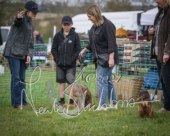 Bicester - Dog Show (88 of 106)