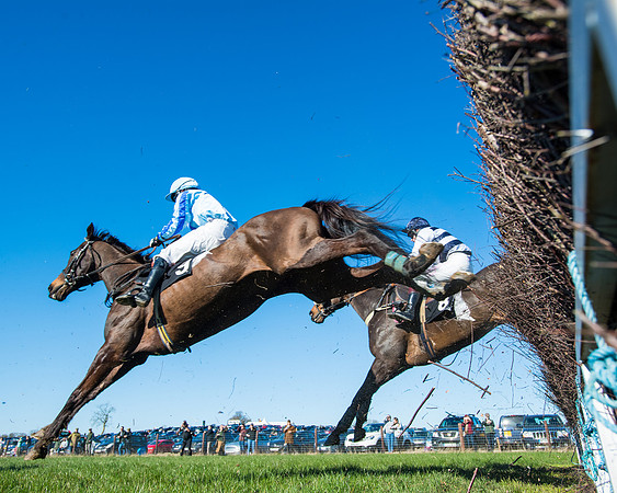Race 4 - Ladies Open  (146 of 200)