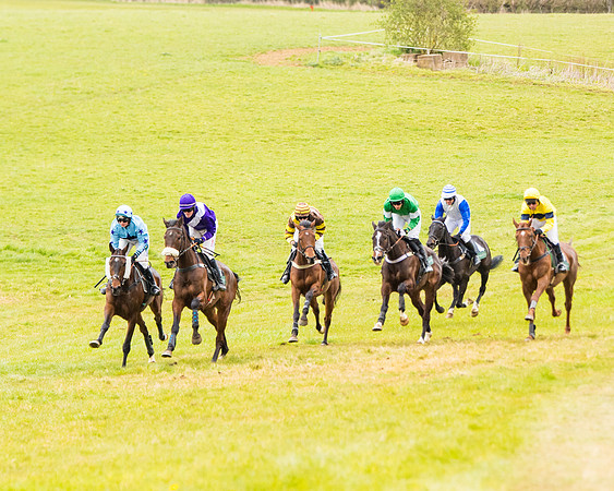Race 6 - 6 year old and over Maiden 2m4f (7 of 62)