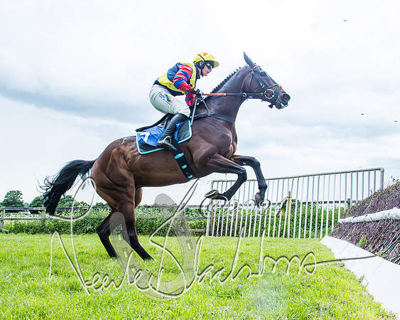 Race 3 - Conditions (224 of 367)