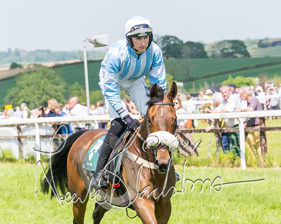 Race 2 - The Maiden  (81 of 442)