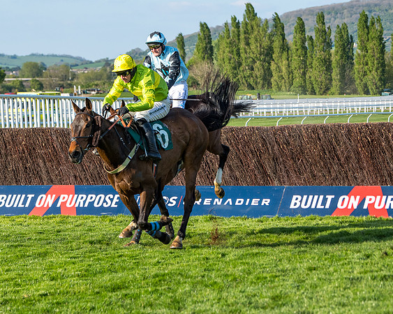 Race 3 - KTDA Hunters' Steeple Chase  (152 of 226)