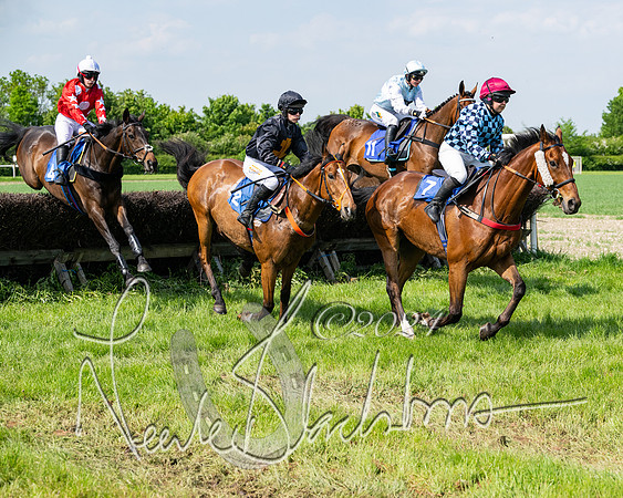 Race 3 - Ladies Open  (81 of 133)
