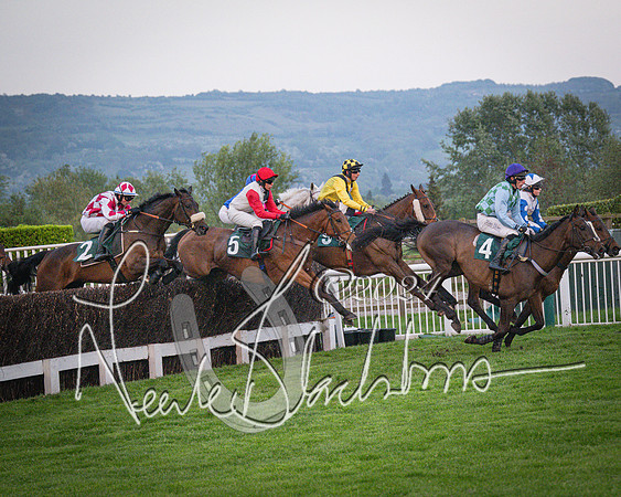 Race - 7 The Royal Gloucester Hussars Open Hunter's steeplechase 2m4f 127y (77 of 210)