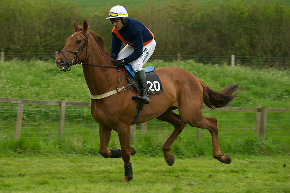 Race 6 - Maiden 13