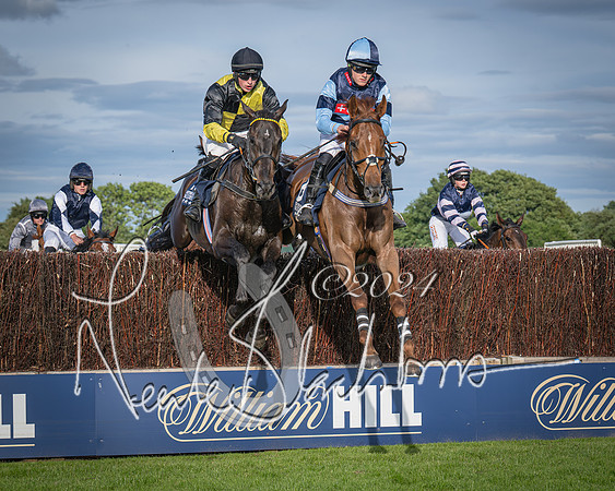 Race 3 - The pointtopoint.co.uk champion novices’ Hunter Chase (59 of 140)
