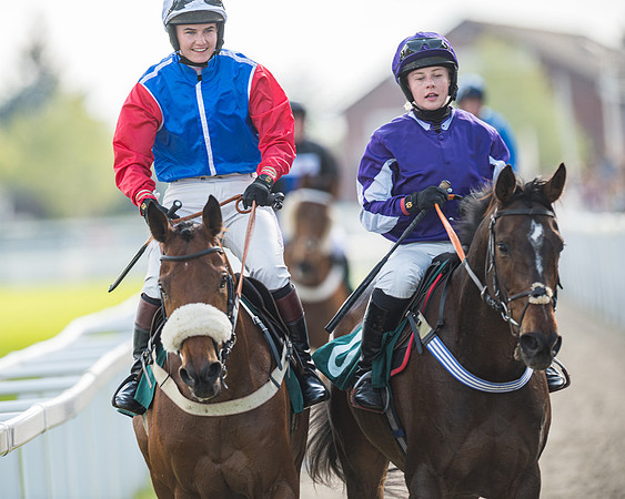 Race 1 - The open Hunter chase  (81 of 95)