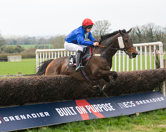 Race 5 - The Ineos Home Counties Grand National (66 of 133)