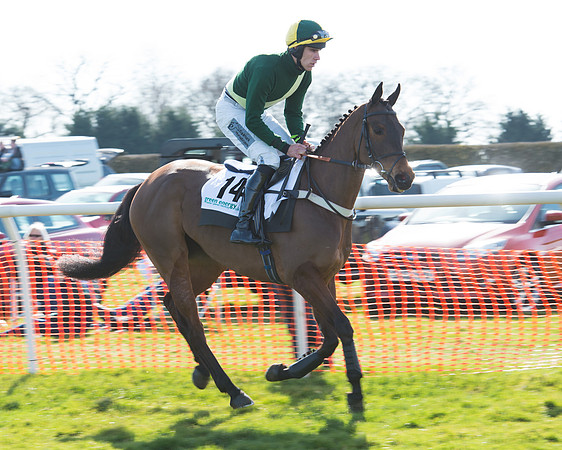 Race 2 - Open Maiden Div 2 (32 of 124).jpg