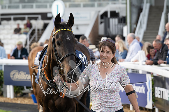 Race 3 - The pointtopoint.co.uk champion novices’ Hunter Chase (39 of 140)