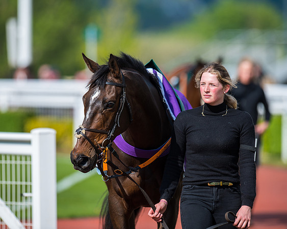 Race 1 - The open Hunter chase  (18 of 95)