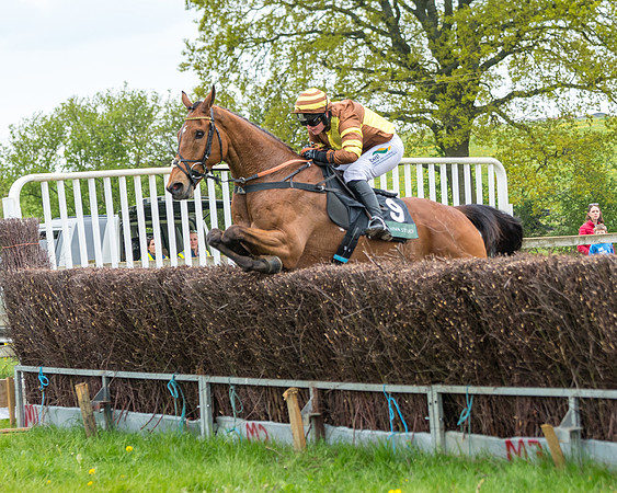 Race 2 - Jockey Club ROR veteran Horse (83 of 104)