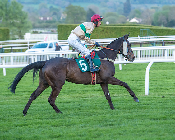 Race 7 - Glos Hussars  (67 of 245)