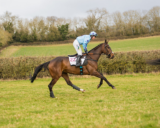 Race 2 - Open Maiden (39 of 128)