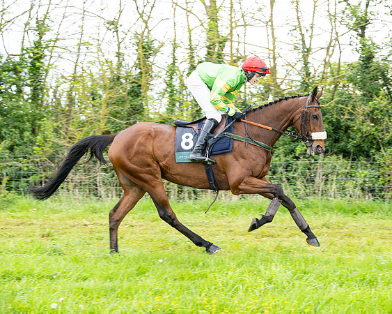 Race 2 - 2M4F Conditions (68 of 195)