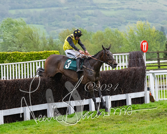 Race 5 - Mares Open  (63 of 129)